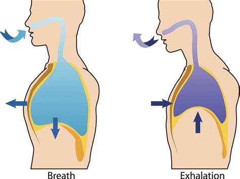 Word Hike The act of forcefully exhaling air or a sudden strike .